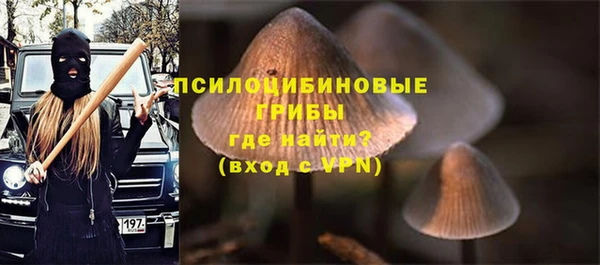 тгк Алексеевка